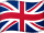 Selected website language flag
