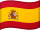 Selected website language flag