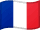Selected website language flag